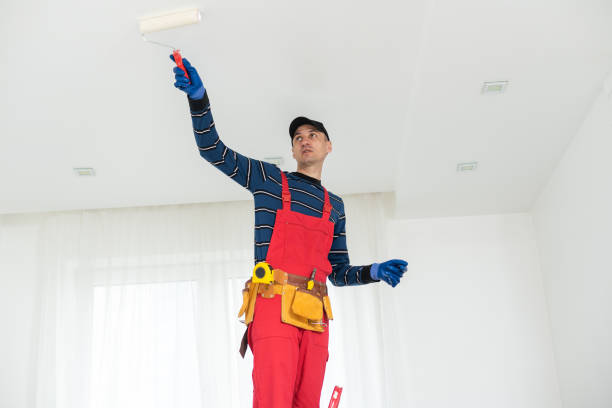 Eco-Friendly and Low-VOC Painting in Mission Hills, CA